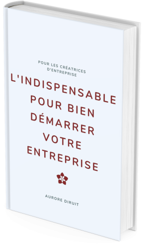 L’indispensable pour Bien demarrer votre entreprise (13) L'indispensable pour bien démarrer votre entreprise